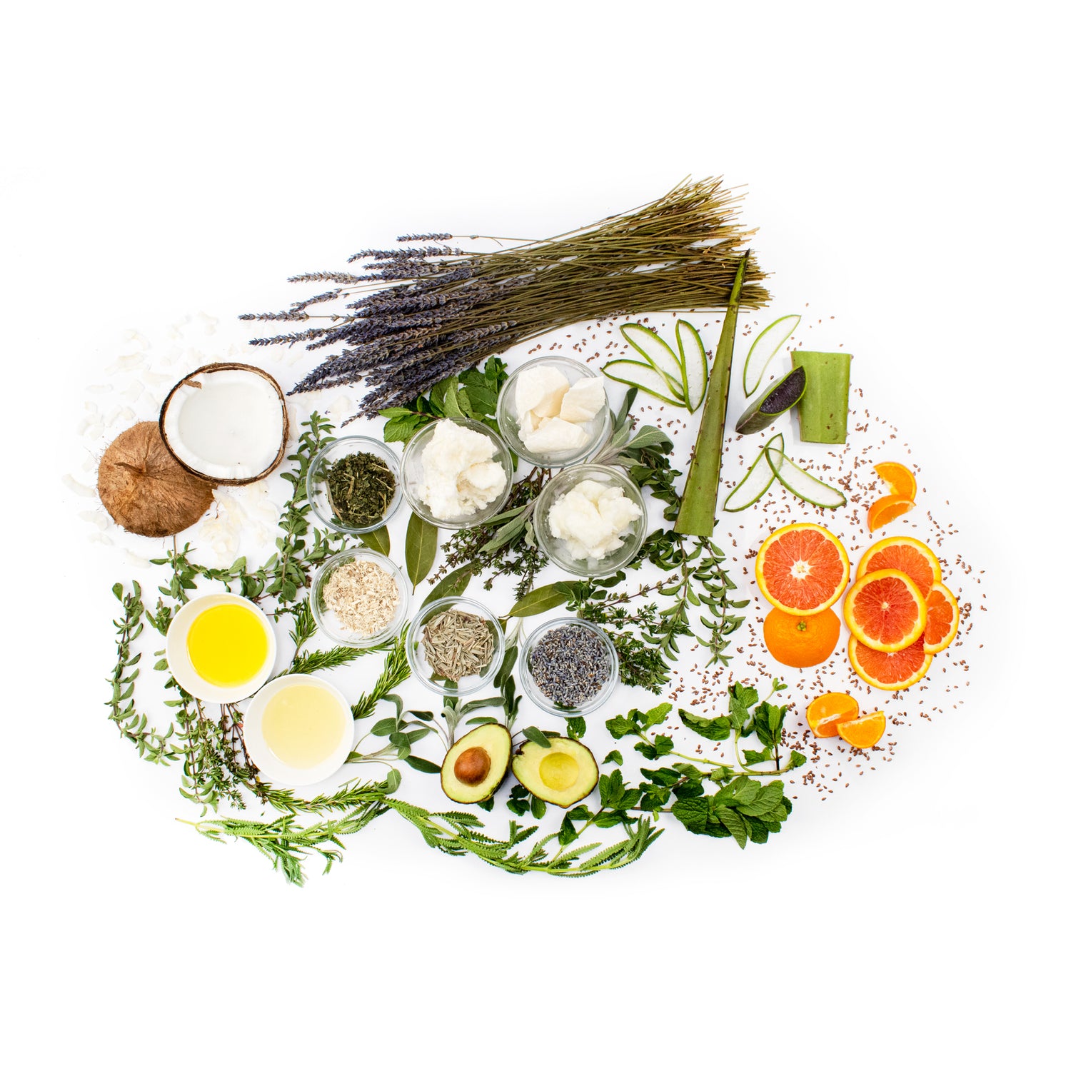 group of raw ingredients including orange slices, aloe vera, shea butter, avocados, coconut, etc. gathered around in a circle